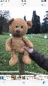 Very LoveD teddy bear lost Saturday 22nd of November 2019 belongs to my son who 