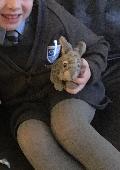 Grey rabbit very sentimental. Possibly left on 14 bus from Widnes to Liverpool 