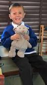 Help! My four year old son has lost his beloved Eli, he is devastated. We believ