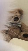If anyone has this bear or knows where I can buy it, please let me know at mitro