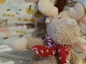 **missing** My daughter lost her favourite reindeer teddy bear today, somewhere 