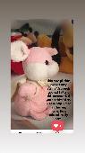 We lost our so loved Pinky Bunny... He is just 4 inches tall, he has black eyes 