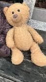 £50 REWARD FOR LOST BEAR . Belongs to my son with SLD and autism . Missed so muc