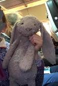 A well loved and missed Bunny. Grey is colour and a velvet nose, slightly work o