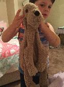 £200 reward offered for a very special and sorely missed teddy dog that was lost
