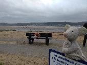 Pale grey Mouse snuggly/comforter. Left him on the signpost between carpark and