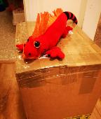 We lost our much loved "Baby Dragon" belonging to our 2 year old. We last had it
