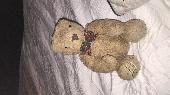 Lost a much loved teddy that we've had for twenty years. It is actually a Marks