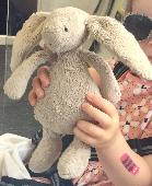 My daughter lost her little toy bunny on the road between Asda nearby Crossharbo