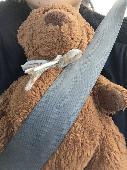 My daughter lost her brown teddy bear with a bow on our visit to Ikea, Wed, Jan.