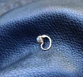 I lost an earring - a golden one with an opale stone. Please contact me If you f