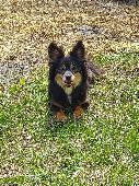 She was with a friend of mine who was looking after her for a couple of days fro