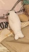 Lost my white seal toy. Small (15cm) with a button nose and tail Had it since I 