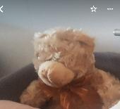Our daughters brown teddy bear was lost last night in Broadbeach, somewhere betw