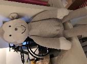 Hi, My daughter lost her grey toy monkey somewhere in Richmond or along Upper Ri