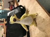 Found Sid from ice age on the road, near Burchetts Green roundabout. I first saw