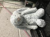 Blue bunny with pink nose found at the moto services junction 23a M1