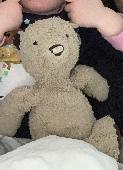 Lost teddy bear somewhere in Guildford town centre