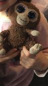 A small monkey beanie boo stuffy, with large purple eyes. He is really well-love