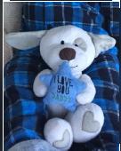 lost Little dog holding an I love you daddy star. Great sentimental value. If an