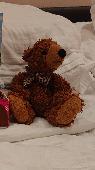 My 3 year old daughter has lost her bear, who she takes everywhere and has been