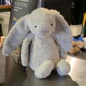 Found this little guy near the clock tower and handed him into Starbucks, I hope