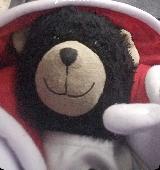 My friend lost her teddy bear and would love it back 
