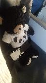 This teddy bear has great sentimental value. He was given to me as a way to cope