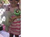 Please help my daughter find her bestfriend "Munny". He was lost at a Springwood