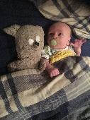Old grey/white teddy lost around the M1 Northampton northbound services 