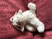Soft white bunny which makes a noise