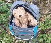 Found: a much loved teddy in a rucksack. Found on a lane in WR6. Teddy is safe a