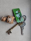 Key ring with 2 keys, a petsathome tag and a cat fob. 