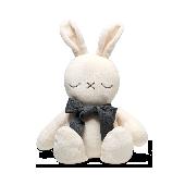 Lost at Kimi Ryokan Tokyo (in hotel bedding change). When new, Bunny looked like