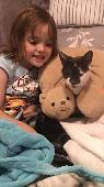 Last female cat called lady