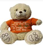 LOST TEDDY BEAR - my daughter lost her Teddy bear on Friday 17th April on the fo