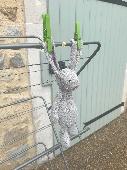 Much loved "Libby" Jellycat Bunny was picked up in bed linen at Novotel Sydney M