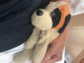 It’s a light and dark brown stuffed dog with black circles around the eyes and b