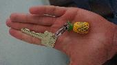 Found a key in Richmond Park, between the Cambrian Road gate and East Sheen Comm