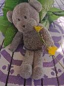 Little grey Monkey teddy