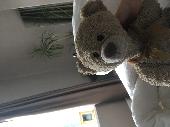 We lost our eldest son's favourite teddy bear whilst on holiday in Tenerife. We