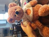 Pumpkin is my 3 year gold's bear. He has a white sweater with a pumpkin on it. M