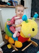 My daughter's beloved bunny has gone missing on the way home from the field next