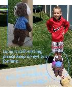 My sister crocheted this dog for her son before she passed away. It has a pocket