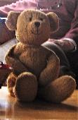 Still searching for teddy! Lost around 1st October 2011. Thank you! Please see p