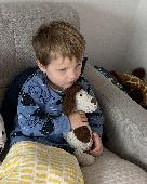 My little boy Ralph has lost his beloved Hollydog, we think in B&Q Trafford park