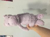 I found a purple jellycat bashful hippo in the parking lot in front of my chirop