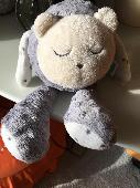 Found near the beach Essex, he has something special about him and really needs 