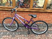Huffy Girls bicycle (Purple) was taken from the front of our house on South Hill