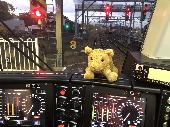 Little cuddly lion found on a train at Hornsby Station, Sydney, Australia. Missi